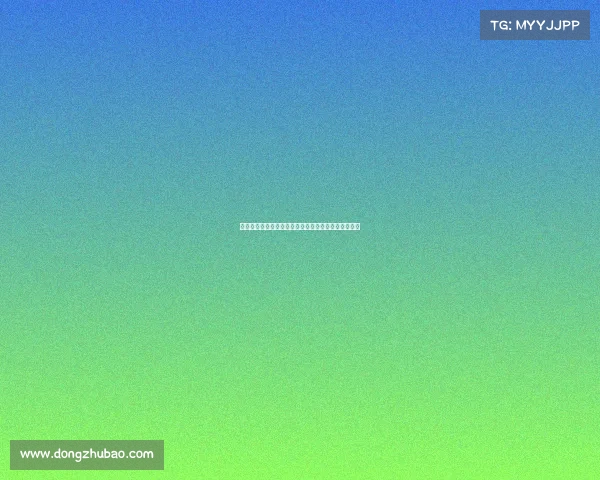 以斯特拉斯堡为中心探索欧洲文化交融与历史遗产之美