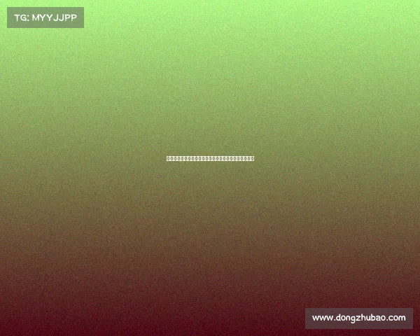 法甲联赛非洲杯球员表现分析及其对球队影响的深度探讨