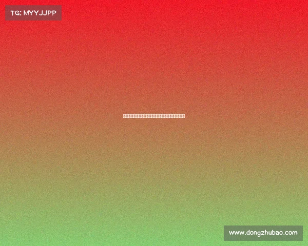 锋无力：从天赋到困境，揭示职业生涯中的选择与挑战